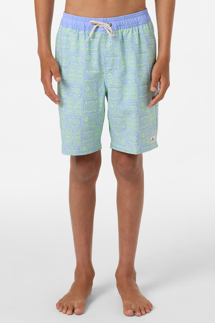 Boy's Hermosa Elastic Waist Lined 16" Swim Trunks