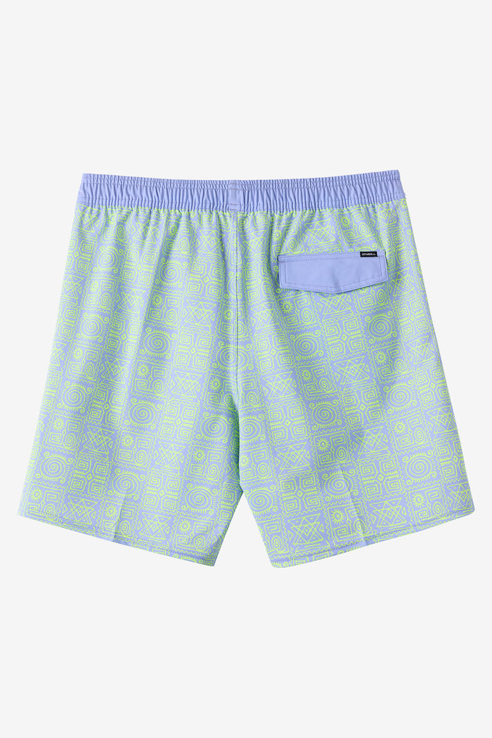 Boy's Hermosa Elastic Waist Lined 16" Swim Trunks