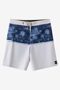 Boy's Hyperfreak Heat Block 17" Boardshorts