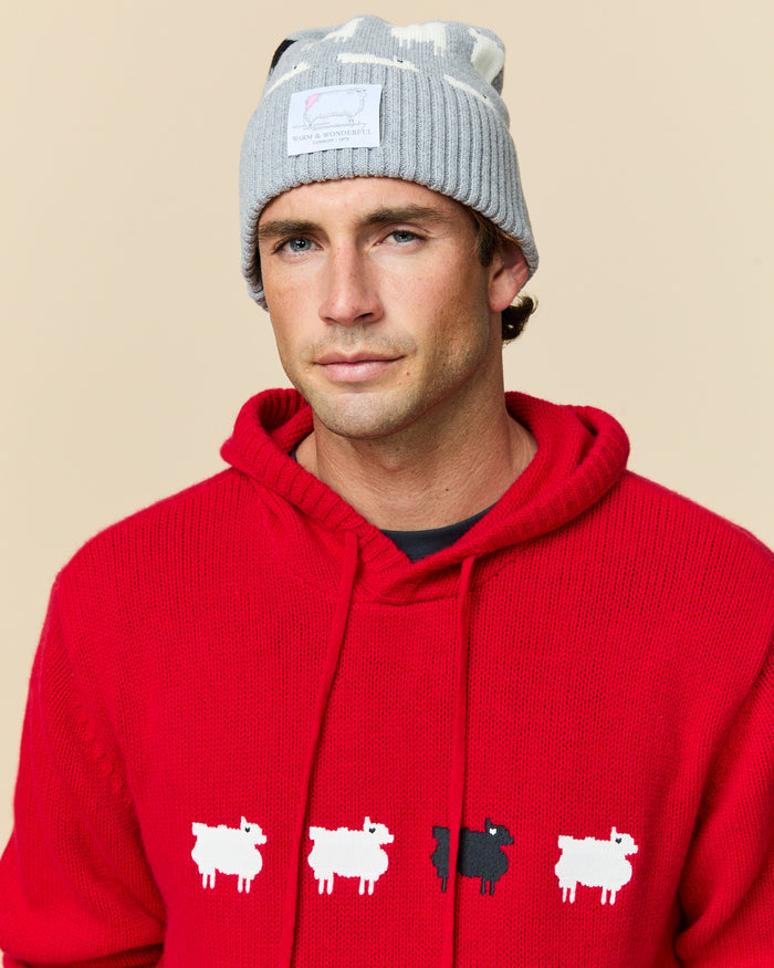 Cotton Sheep Beanie Heather Gray