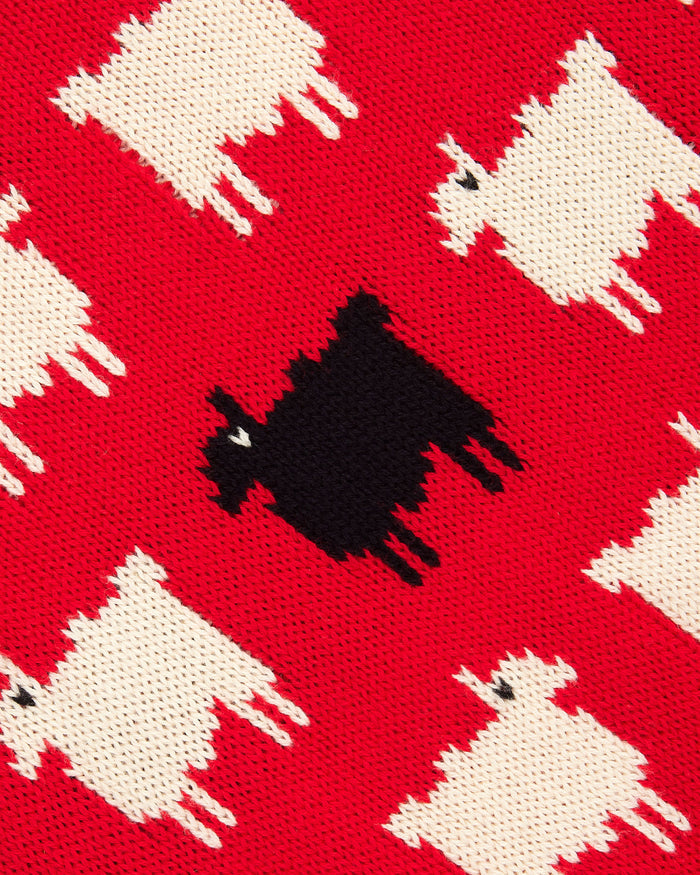 Men's Warm & Wonderful "Diana Edition" Cotton Sheep Sweater