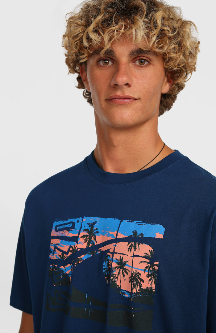 O’Neill Gradient T-Shirt | English Evening