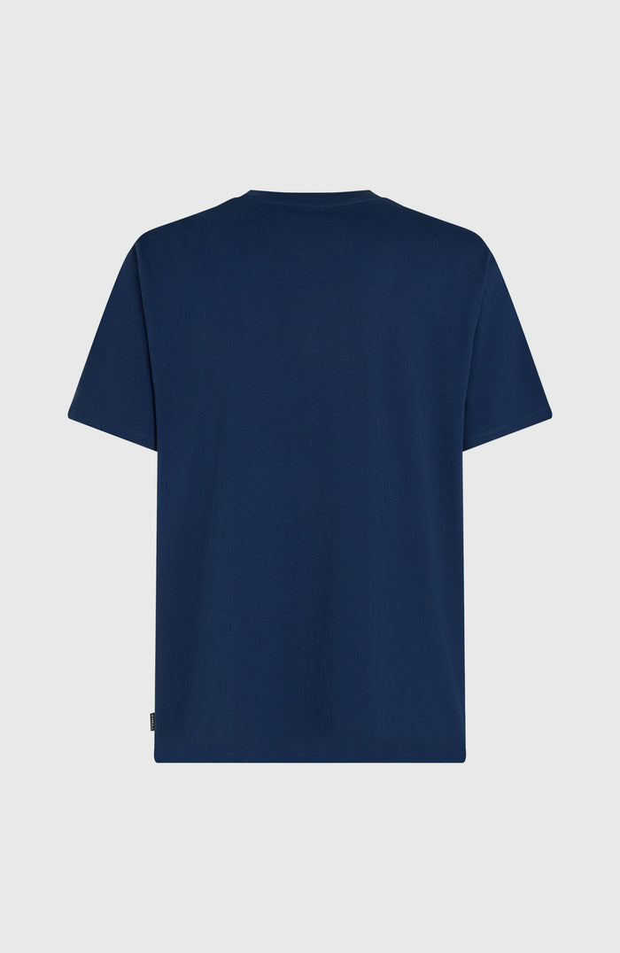 O’Neill Gradient T-Shirt | English Evening