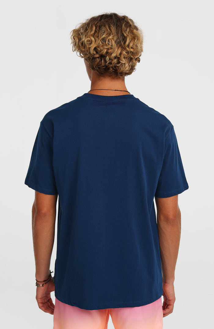 O’Neill Gradient T-Shirt | English Evening