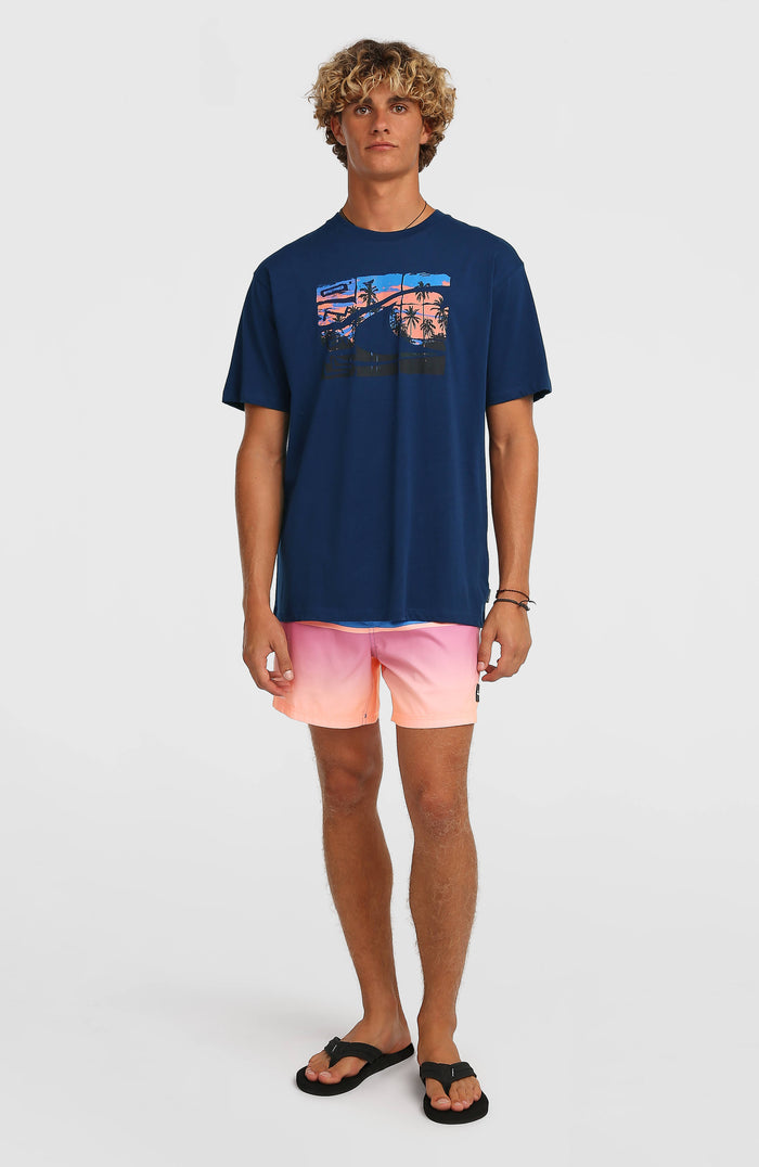 O’Neill Gradient T-Shirt | English Evening