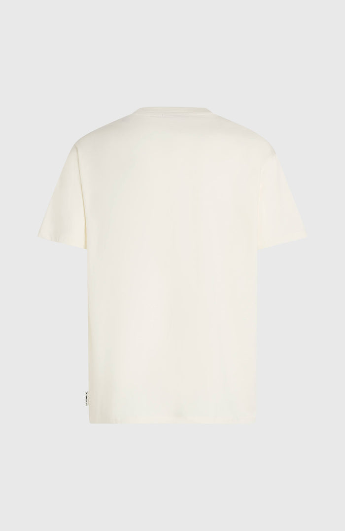O’Neill Gradient T-Shirt | Snow White
