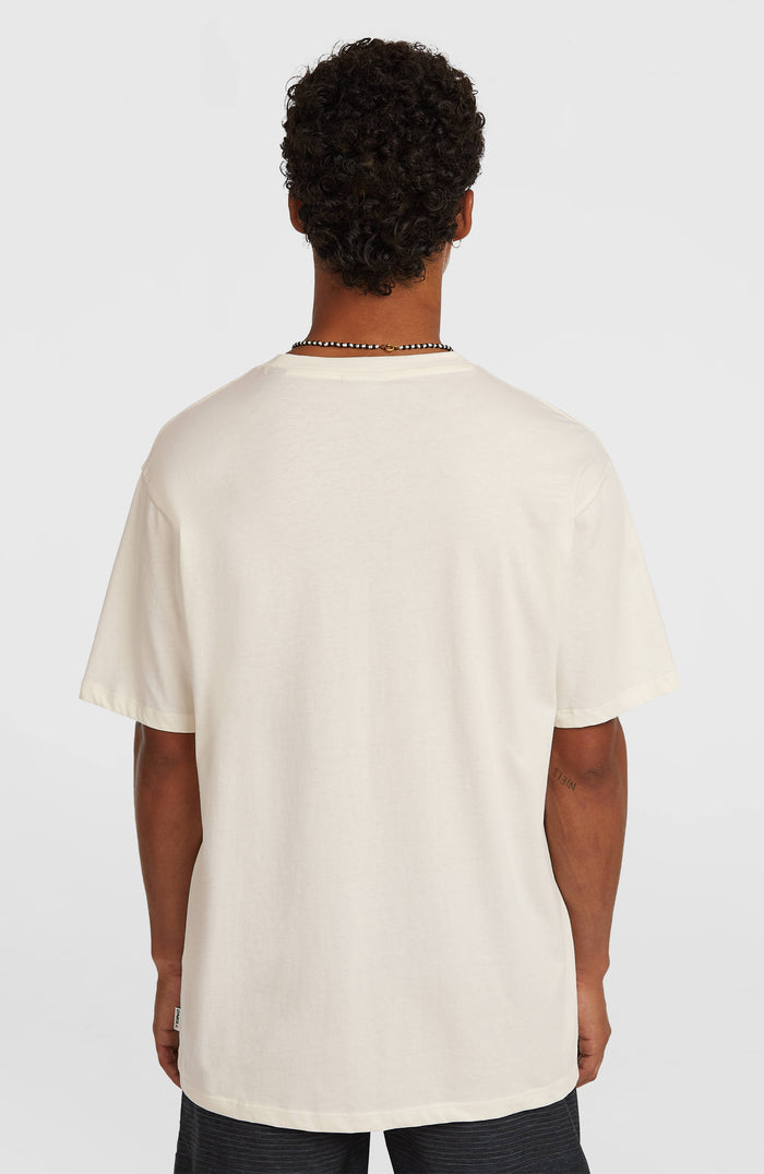 O’Neill Gradient T-Shirt | Snow White