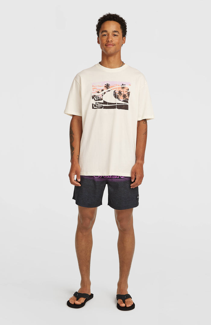 O’Neill Gradient T-Shirt | Snow White