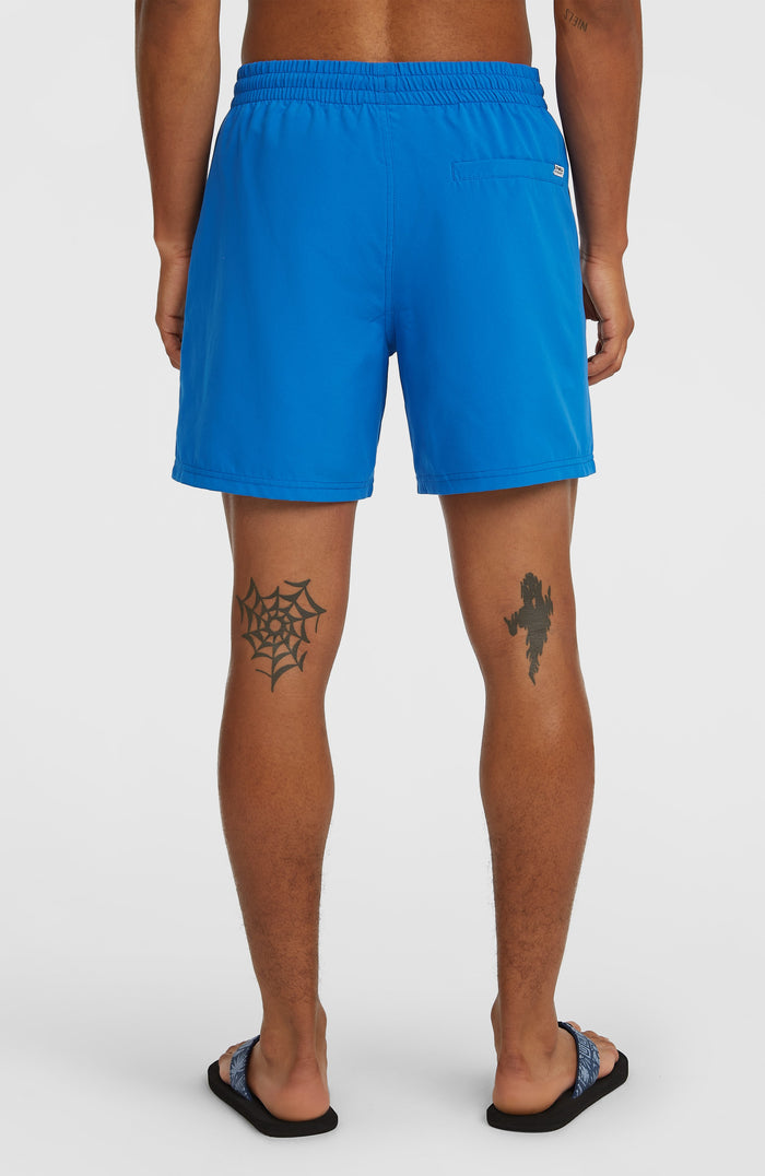 O'Neill Logo 16" Swimshorts | Victoria Blue