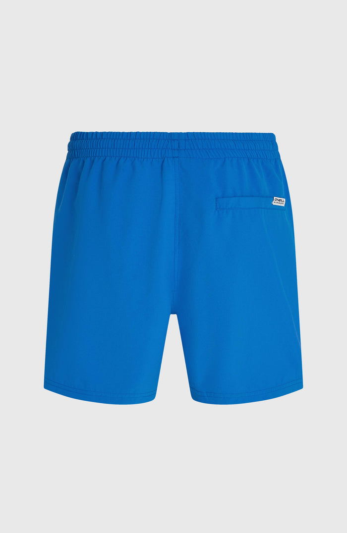 O'Neill Logo 16" Swimshorts | Victoria Blue