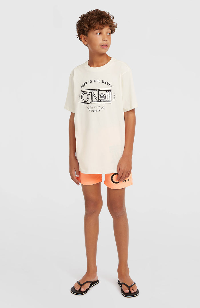 O'Neill Muir T-Shirt | Snow White
