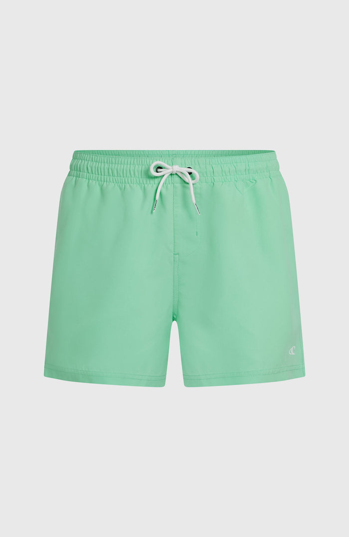 O'NEILL SUNNY BEACH 14" SWIMSHORT | Antiguan Sky
