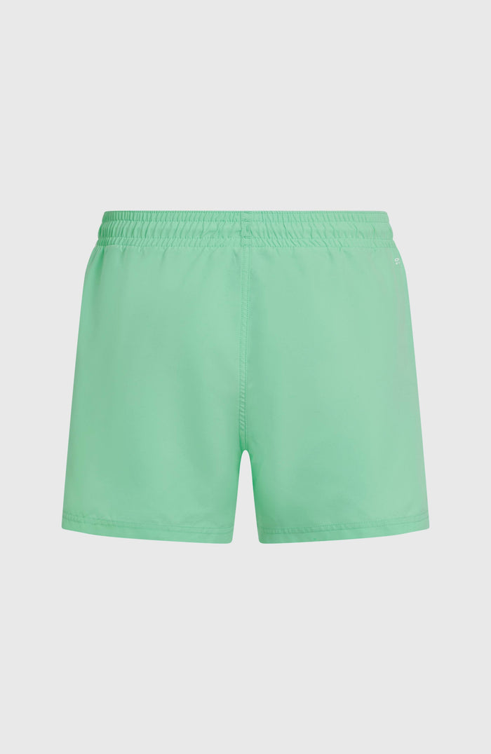 O'NEILL SUNNY BEACH 14" SWIMSHORT | Antiguan Sky