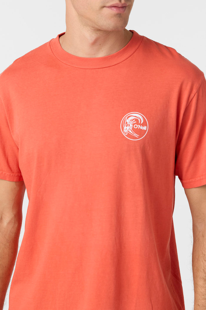 O'Riginals Circle Surfer Relaxed Fit Tee - Burnt Sienna | O'Neill