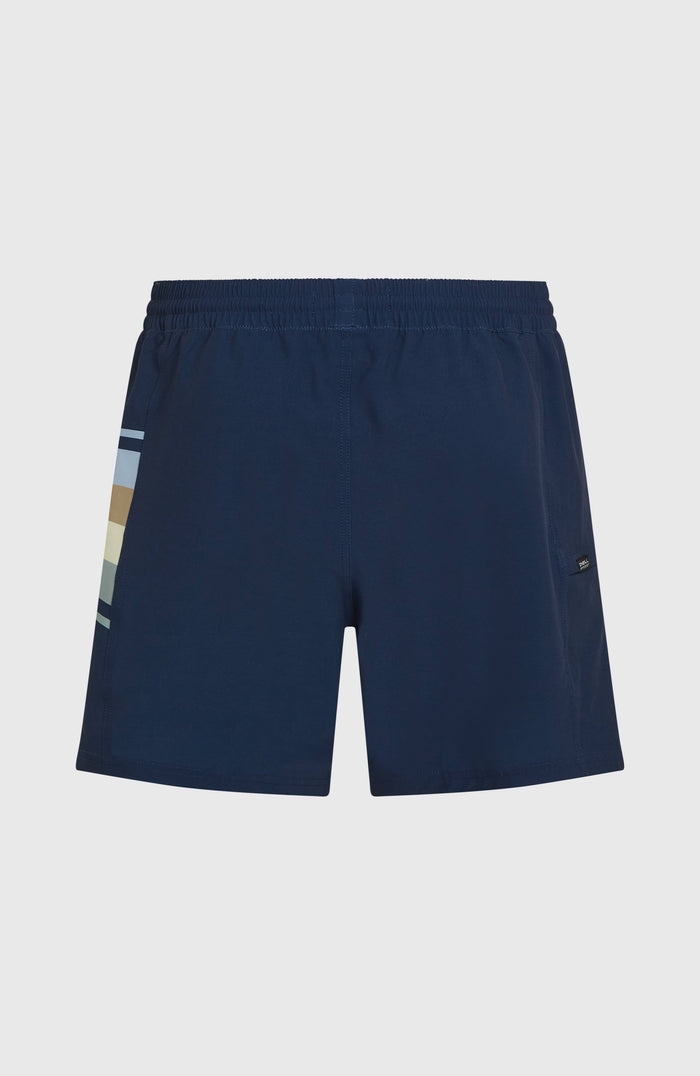 O'Riginals Side Panel 16'' Swimshorts | English Evening