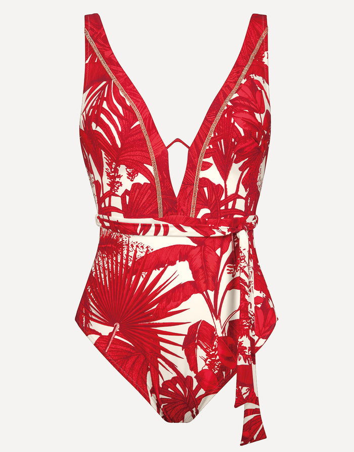 Palmaria Underwired Plunge Swimsuit
