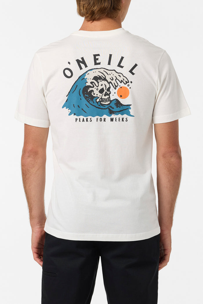 Sesh Classic Tee - Tofu | O'Neill