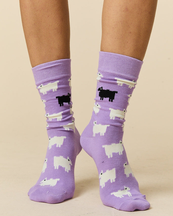 Sheep Socks Lavender