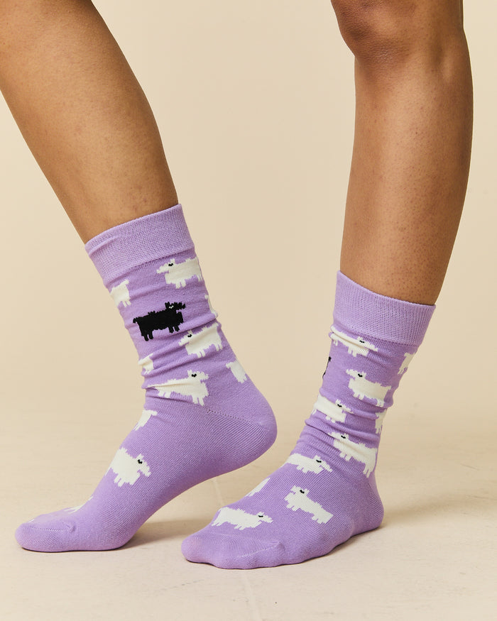 Sheep Socks Lavender