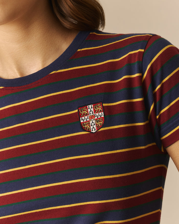 Striped Cambridge Tee Multi-Color Multi-Color / XL