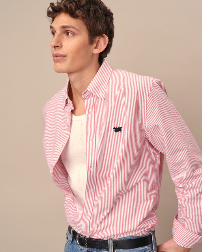 Warm & Wonderful Sheep Oxford Button Down Red